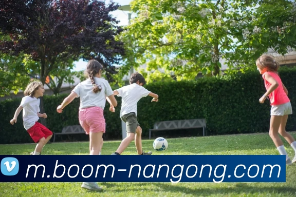 南宫娱乐APP 封面图