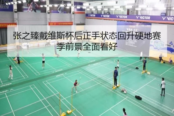 张之臻戴维斯杯后正手状态回升硬地赛季前景全面看好